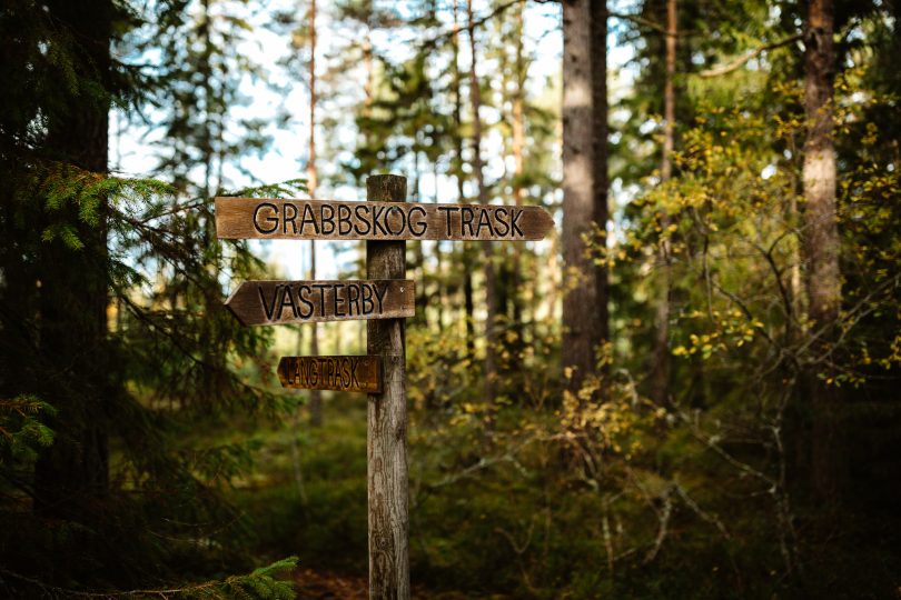 Vägskyltar mitt i skogen