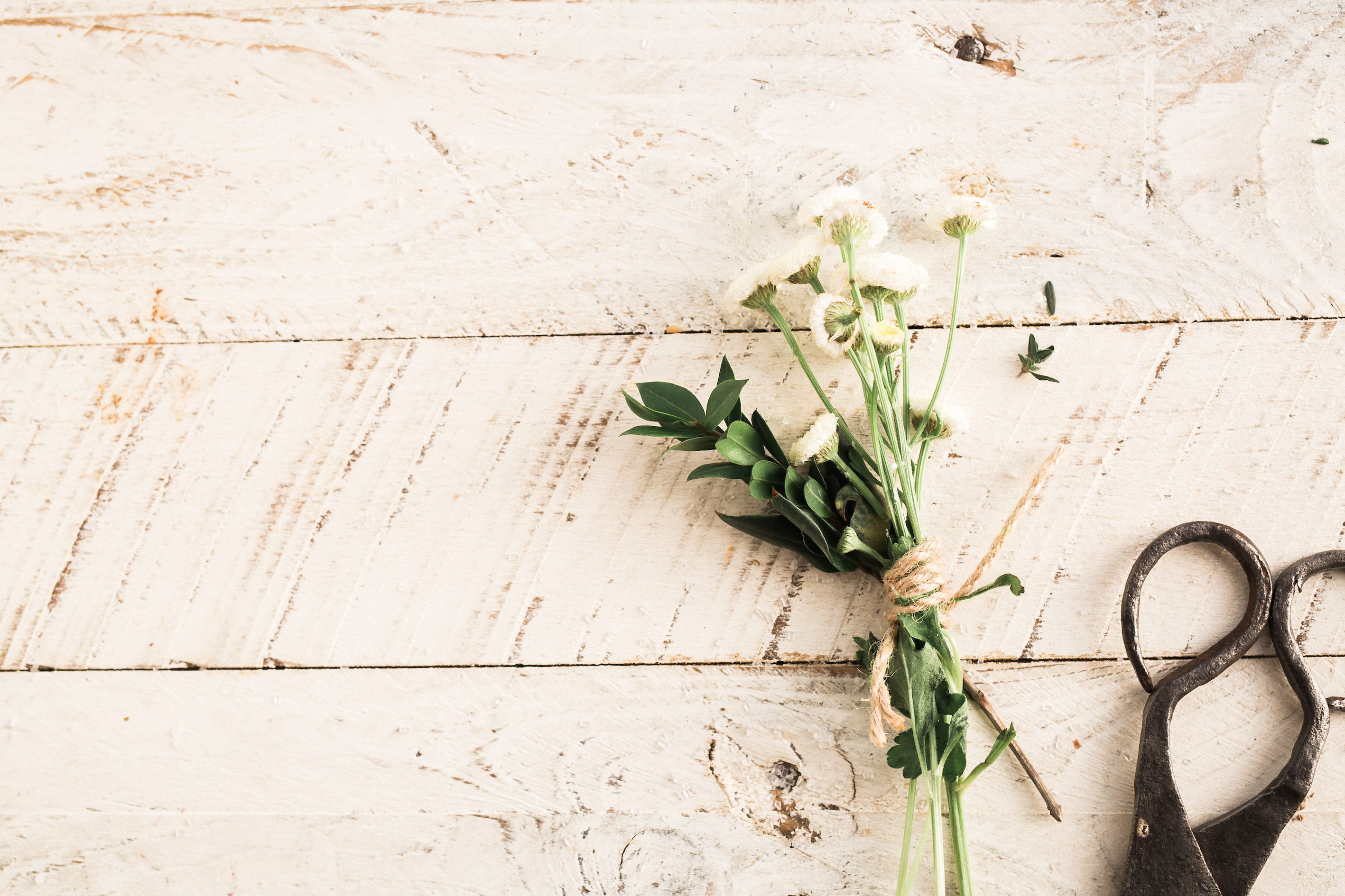 En liten bukett med blommor ligger bredvid en sax på ett gammalt vitt bord.